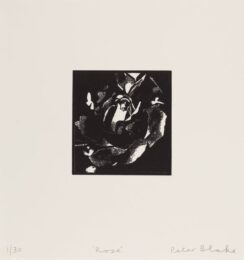 Rose by Peter Blake at Paul Stolper Gallery