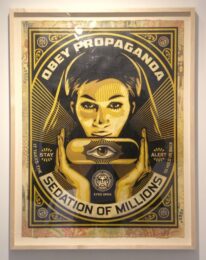 Sedation Pill Hpm by Shepard Fairey at Gregg Shienbaum Fine Art