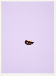 Sneer (lilac) by Gavin Turk at Paul Stolper Gallery