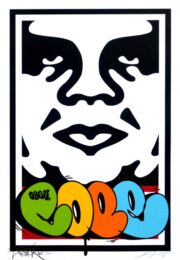 Takeover by Shepard Fairey at Lieberman Contemporary