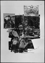 Test Stone #2, From Booster And 7 Studies by Robert Rauschenberg at Gregg Shienbaum Fine Art