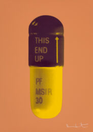 The Cure – Caramel/grape/mustard by Damien Hirst at Paul Stolper Gallery