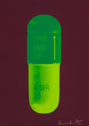 The Cure – Chocolate/emerald Green/lime Green by Damien Hirst at Paul Stolper Gallery