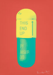 The Cure – Coral/lemon Yellow/turquoise by Damien Hirst at Paul Stolper Gallery