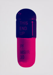 The Cure – Ice Pink/mauve/raspberry by Damien Hirst at Paul Stolper Gallery