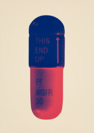The Cure – Peach Cream/ultramarine/lust by Damien Hirst at Paul Stolper Gallery
