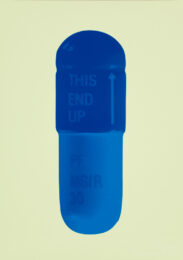 The Cure – Sherbet Green/royal Blue/ocean Blue by Damien Hirst at Paul Stolper Gallery