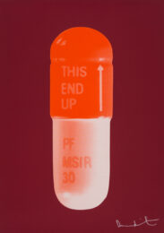 The Cure – Sienna Red/tangerine/light Tangerine by Damien Hirst at Paul Stolper Gallery