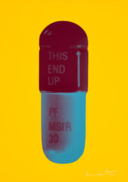 The Cure – Sunflower Yellow/merlot/sapphire by Damien Hirst at Paul Stolper Gallery