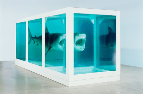 The Physical Impossibility Of Death In The Mind Of Someone Living by Damien Hirst