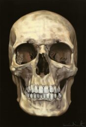 The Skull Beneath The Skin by Damien Hirst at Paul Stolper Gallery