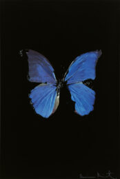 The Soul On Jacob’s Ladder by Damien Hirst at Paul Stolper Gallery