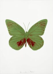 The Souls I – Leaf Green/chilli Red by Damien Hirst at Paul Stolper Gallery