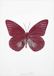 The Souls I – Loganberry Pink/silver Gloss by Damien Hirst at Paul Stolper Gallery