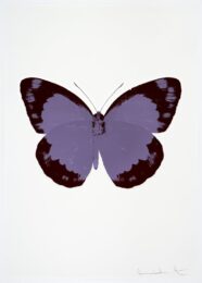 The Souls Ii – Aquarius/burgundy/blind Impression by Damien Hirst at Paul Stolper Gallery