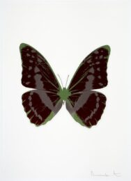 The Souls Iii – Burgundy/gunmetal/leaf Green by Damien Hirst at Paul Stolper Gallery