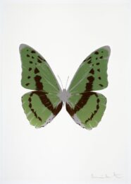 The Souls Iii – Leaf Green/chocolate/silver Gloss by Damien Hirst at Paul Stolper Gallery