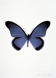 The Souls Iv – Cornflower Blue/raven Black by Damien Hirst at Paul Stolper Gallery