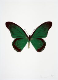 The Souls Iv – Emerald Green/cool Gold/burgundy by Damien Hirst at Paul Stolper Gallery