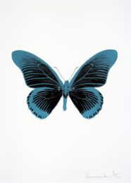 The Souls Iv – Raven Black/topaz/topaz by Damien Hirst at Paul Stolper Gallery