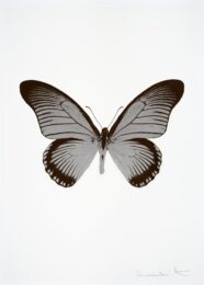 The Souls Iv – Silver Gloss/chocolate by Damien Hirst at Paul Stolper Gallery