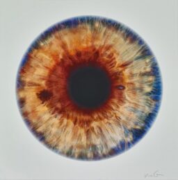 Thermosphere by Marc Quinn at Manifold Editions