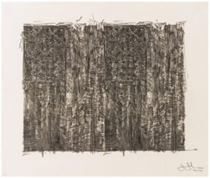 Two Flags by Jasper Johns at Gregg Shienbaum Fine Art
