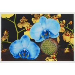 Under The Volcano by Marc Quinn at Manifold Editions