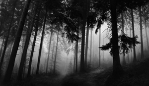 Untitled (fairmount Forest) by Robert Longo at Vogtle Contemporary