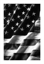 Untitled (old Glory), Left Side by Robert Longo at Vogtle Contemporary