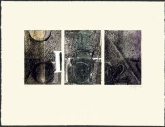Private: Voice 2 by Jasper Johns at Michael Lisi/Contemporary Art
