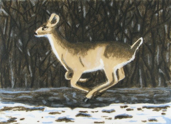 Winter Deer by Richard Bosman