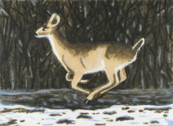 Winter Deer by Richard Bosman at Oehme Graphics
