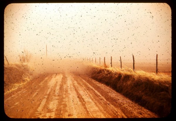Ask The Dust (kansas, 1950’s, With Dust From 85, Leighton Gardens, London, Nw10, 2013), by Adam Chodzko