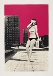 Along The Road To Serfdom by Sarah Hardacre at Paul Stolper Gallery