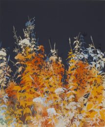 Amber Dusk by Henrik Simonsen at Eyestorm