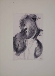 An Iris For Lisa by Leonard Baskin at Sylvan Cole Gallery
