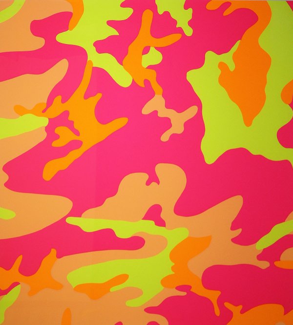 Camouflage Fs Ii.409 by Andy Warhol