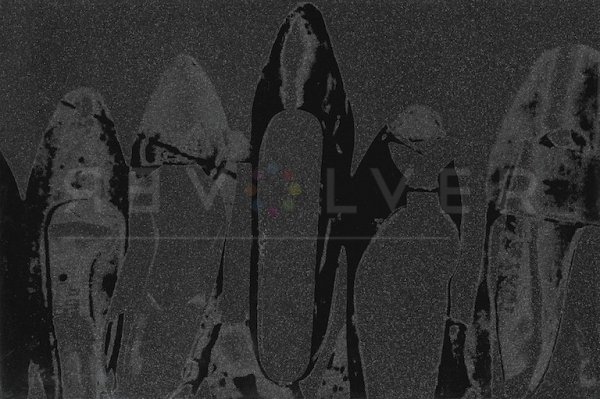 Shoes (deluxe Edition) (fs Ii.252) by Andy Warhol