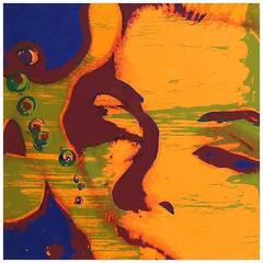 The Marilyn Monroe Trip by Bert Stern
