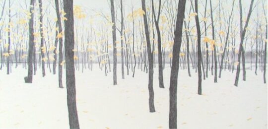 Between Snow Storms by Rica Bando at ebo Gallery