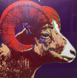 Bighorn Ram Tp (fs Ii.302) by Andy Warhol at Revolver Gallery