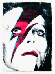 Bowie (face No.1) by John Dove and Molly White at Paul Stolper Gallery