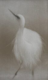 Brume Matinal by Mikio Watanabe at ebo Gallery