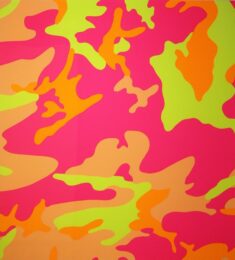 Camouflage Fs Ii.409 by Andy Warhol at Revolver Gallery