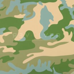 Camouflage (fs Ii.407) by Andy Warhol at Revolver Gallery