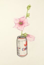 Canadian by Aurel Schmidt at Lieberman Contemporary