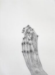 Catchers Ⅱ by Kiki Smith at KIDO Press