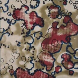 Close Up I by Harold Cohen at Pomegranate Fine Art