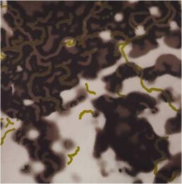 Close Up Ii by Harold Cohen at Pomegranate Fine Art